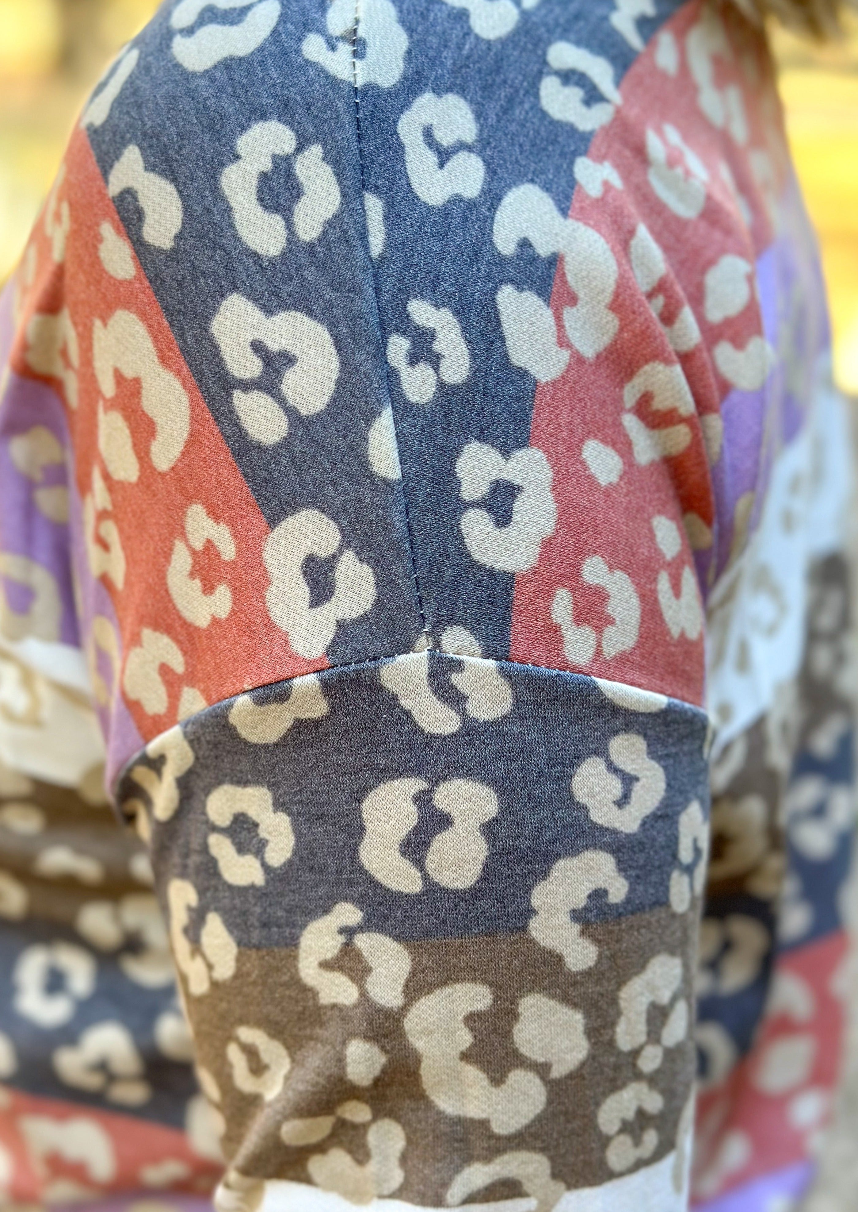 Multi Color Leopard Stripe Knit Top