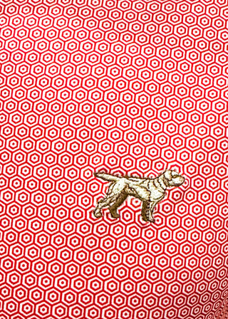 Close up of Red geometric Polo 