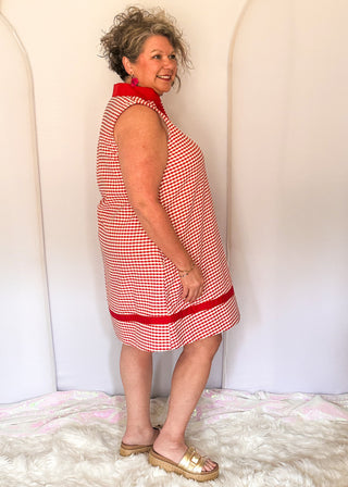 Red gingham sleeveless dress with contrast trim neckline