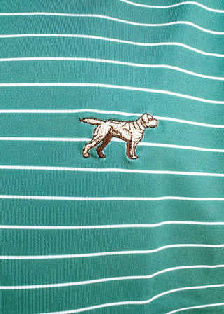 Men's moisture wicking performance polo in jade green and white stripe