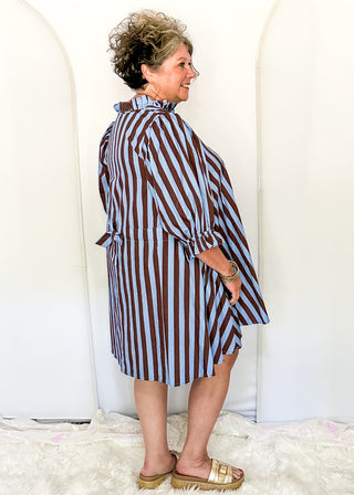 woman modeling a brown and blue striped A line dress. 